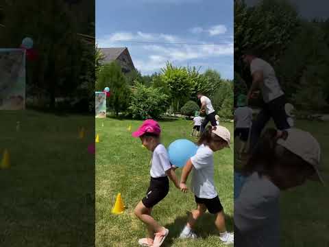 26 июля 2024 г.