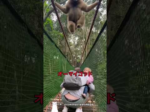 野生動物に対して礼儀を守るべき理由