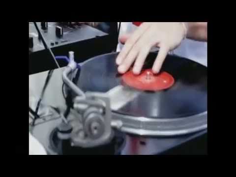 Knight Stalker - They Said