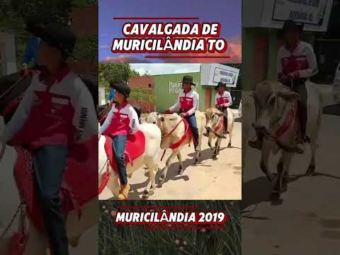 Cavalgada de Muricilândia Tocantins 2019