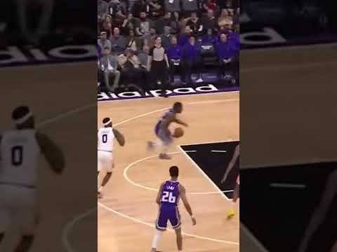 Davion Mitchell Almost Dunked On Javale McGee 🤯