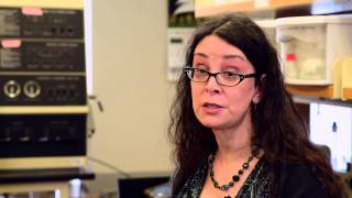 Interview with Dr. Karen Johannesson, Tulane Earth and Environmental Sciences
