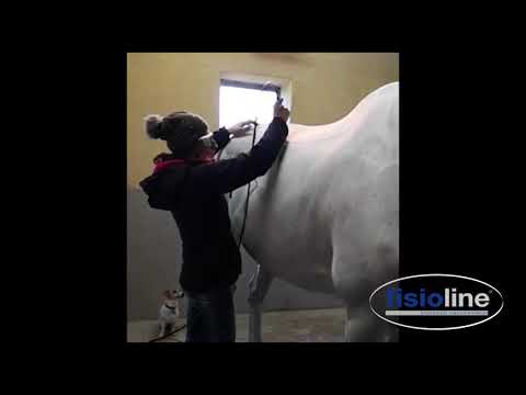 Laser Terapia dorso cavallo-Horse back laser therapy