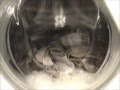 Hoover Silk Wool Cycle