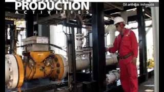 preview picture of video 'OFFSHORE PRODUCTION ACTIVITIES - Santos Indonesia 'Maleo Producer' #4'