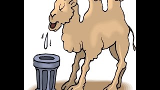 How camel survive without water
