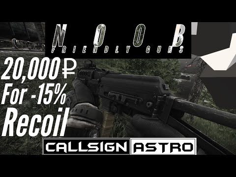 Noob Friendly Guns With Cheap Effective Mods