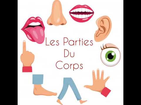 LES PARTIES DU CORPS 😃