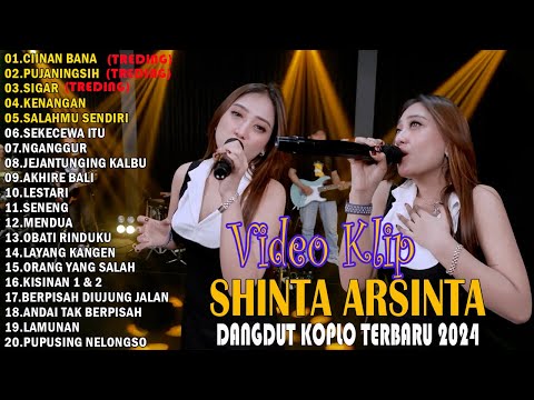 DANGDUT KOPLO TERBARU 2024 🌸 FULL ALBUM SHINTA ARSINTA TERBARU 2024 🌸 CIINAN BANA,PUJANINGSIH,SIGAR