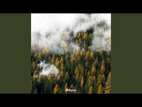 Where Do You Travel to When You Close Your Eyes