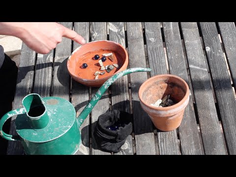 Rädda bin med vatten - Trädgårdshacks med GardenR