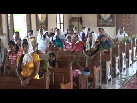 2012 04 08 Evangelio del Domingo de Ramos