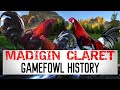 CLARET GAMEFOWL HISTORY