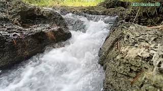 Download lagu Suara Air Sungai Deras yang Menyejukkan - Video dan Audio Alami mp3 Download lagu Suara Air Sungai Deras yang Menyejukkan - Video dan Audio Alami mp3