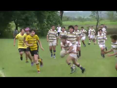 SEMIFINAL PLATA M13 lawn tennis   catamarca rugby