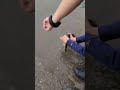Video Thumbnail for Releasing  a pike/ That didn't  worked  well #pikefishing #short #fishing #shorts #subscribe