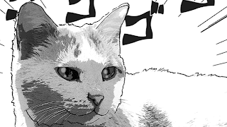 クレナイ のライブ ストリーム