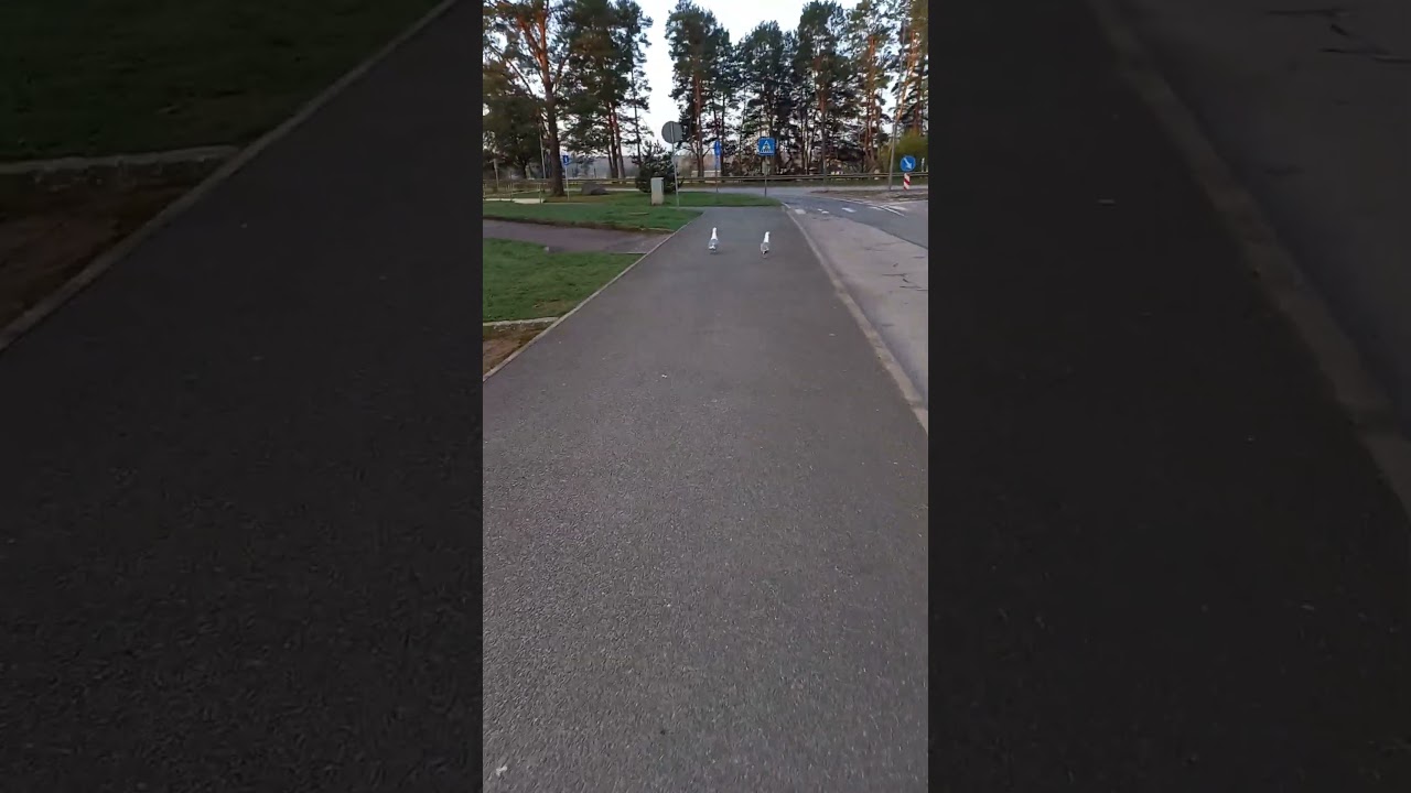 Ogre 680.......18.04.25