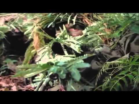 Project Vandal-SNIPER