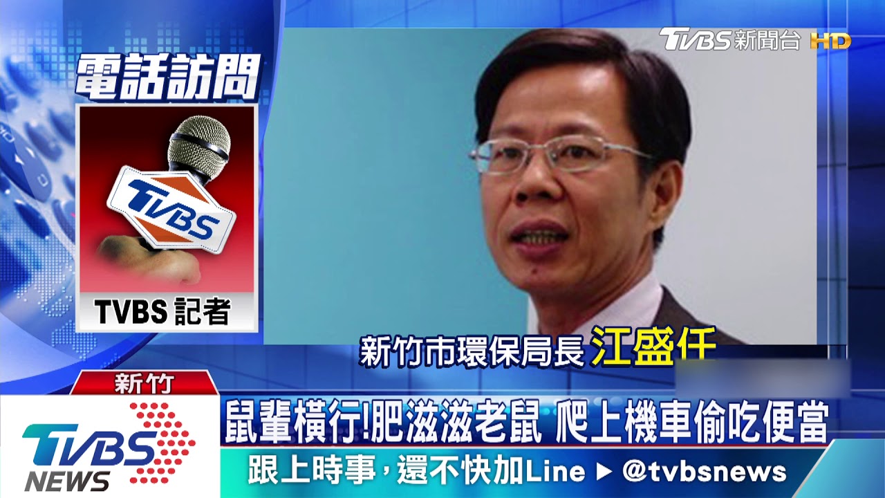 鼠輩橫行!肥滋滋老鼠 爬上機車偷吃便當