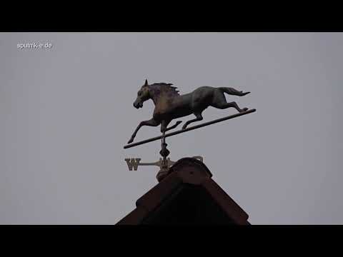 Brambacher Hof - Mehr Vierbeiner als Zweibeiner ? Ortsteil Kochertürn der Stadt Neuenstadt