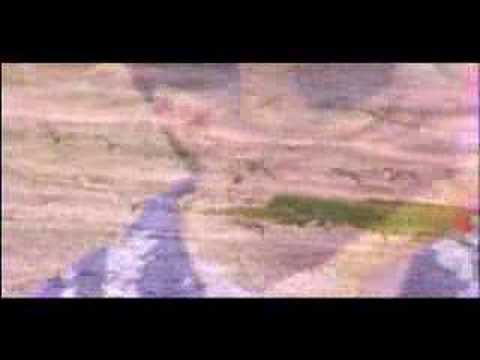 Elisete - Capoeira - Clip