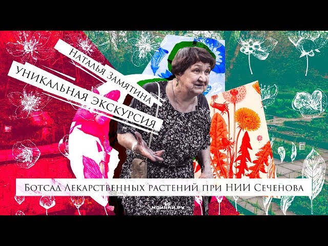 Наталья Замятина. Съедобные дикорастущие растения. Уникальная экскурсия.