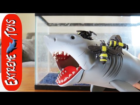 Killer Bee Attack! Shark Toy Helps Boys Fight a Giant Bee Swarm. Video