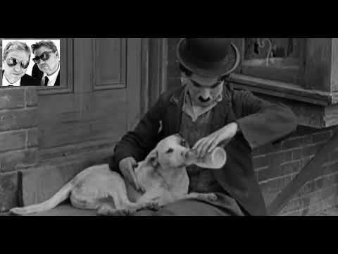 Těžkej Pokondr  -  Chcípnul tu pes