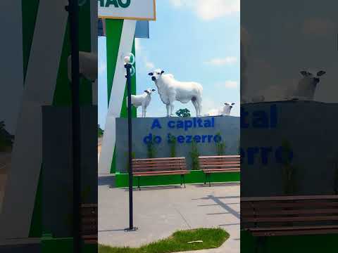 Amarante do Maranhão