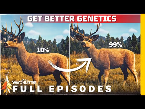 how to get better genetics | way of the hunter