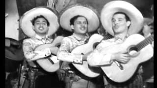 trio calaveras   voy de gallo