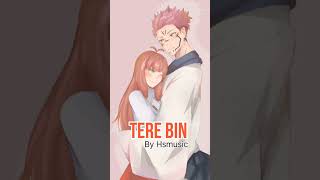 Tere Bin - HSMUSIC | Unknown Voice Album | New Song 2025