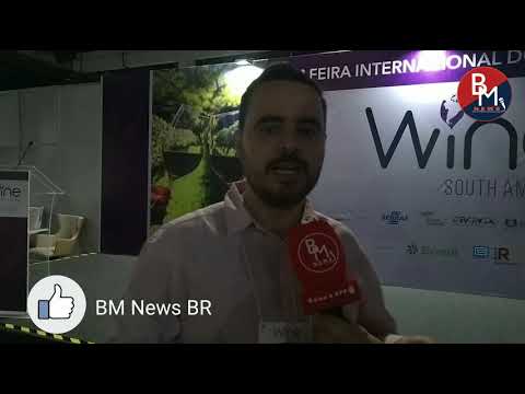 Mercado de vinho aposta em vinho enlatado para ganhar novos adeptos