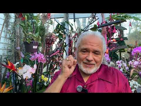 FRANK26…..2-16-26….TOO LATE