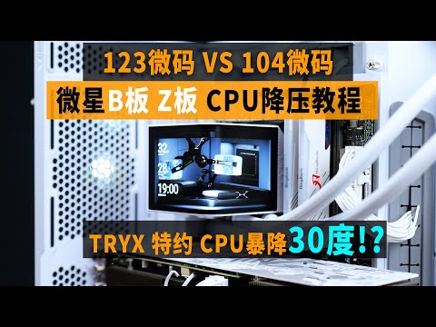 i7暴降30度？！微星B板Z板CPU降压教程 + TRYX全球首款曲面屏水冷测试 【翼王工作室】