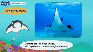 L2 010Meet the Animals 10  Manta Ray