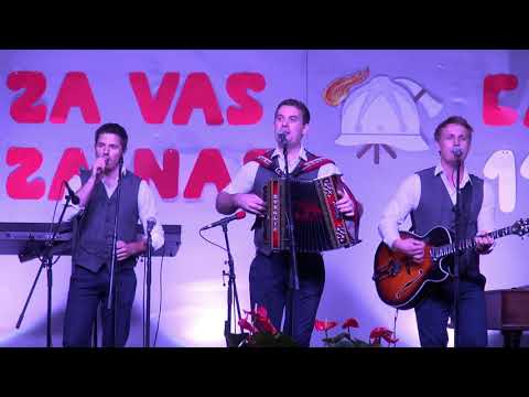 Ansambel Veseli Dolenjci - Te domače viže (v živo)