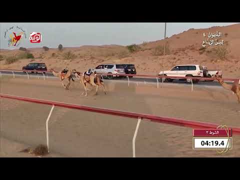  ش 3 (هملول) لـ هجن الرئاسة 8:5 , شارة الديوان 4 2026/10/25 اللبسه ايذاع 
