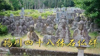 【びわ湖源流の郷・高島市より】鵜川四十八体石仏群