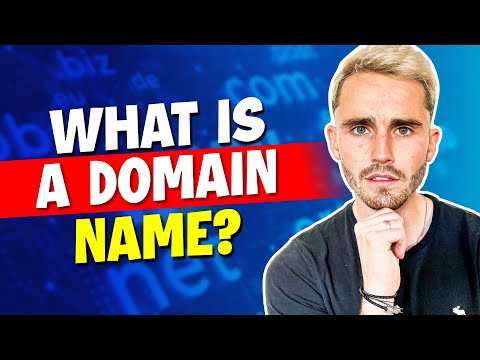 What is a Domain Name?