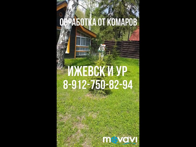 Видео обработки