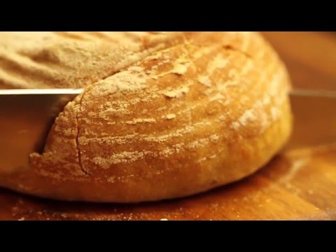 Dr.Hyenik - Breed2Bread