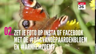 Foto challenge, bestuivers op paardenbloemen