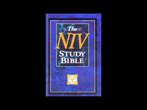 The Book of 1st Kings (NIV Audio Bible Non Dramatized)