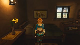 House Enhancements - The Legend of Zelda: Breath of the Wild