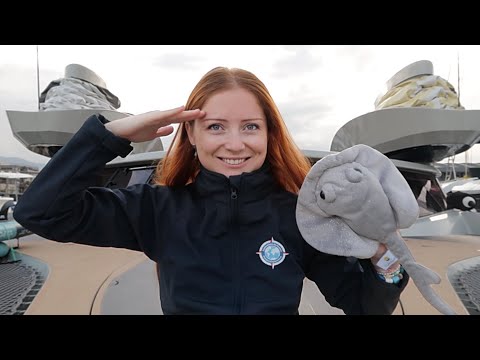 JOURNAL DE BORD 5 - Le retour du capitaine