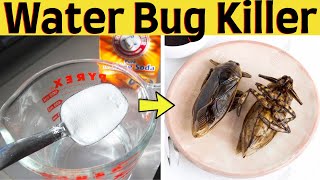How to get rid of water bug out of your house naturally and fast