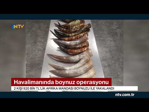 download lagu mp3 mp4 Yalova Atatrk Havaliman, download lagu Yalova Atatrk Havaliman gratis, unduh video klip Yalova Atatrk Havaliman