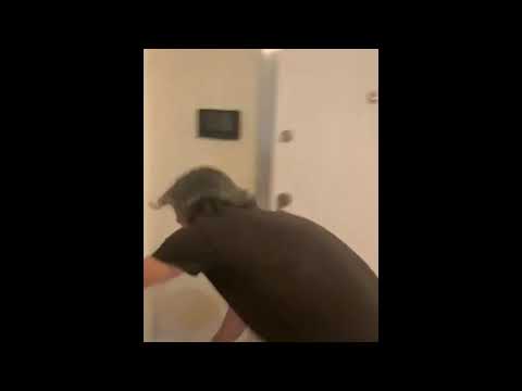 Sokağa çıkma yasağını duyunca Gökhan UZUNALİ